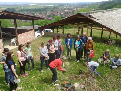 Razmjena sadnica
