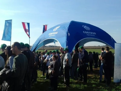 Regionalni dan polja Pioneera