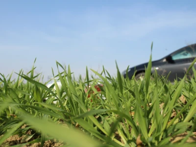 Reja Agro