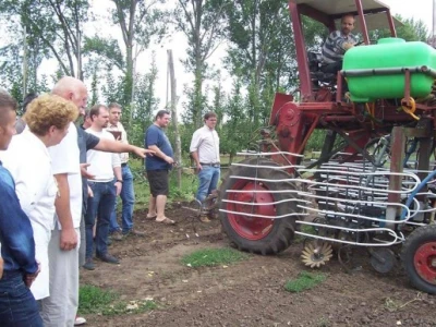 Uzgoj jabuka u Mađarskoj