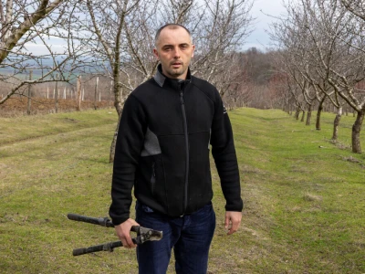 Rezidba marelice u Baranji