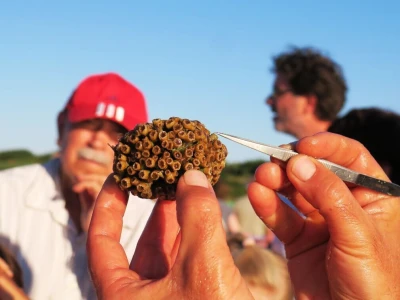 Ribarska noć i kuhanje Brudeta u Ližnjanu