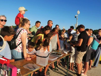 Ribarska noć i kuhanje Brudeta u Ližnjanu