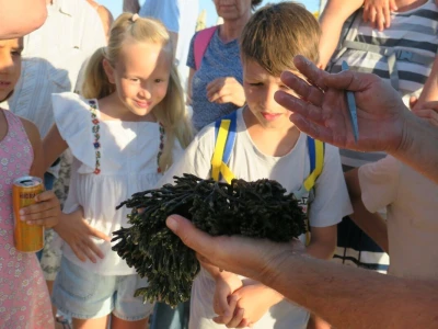 Ribarska noć i kuhanje Brudeta u Ližnjanu