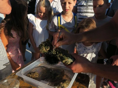 Ribarska noć i kuhanje Brudeta u Ližnjanu