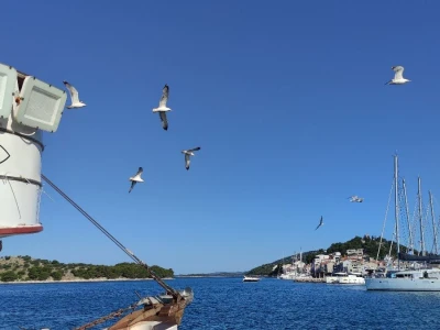Ribarska zadruga Adria