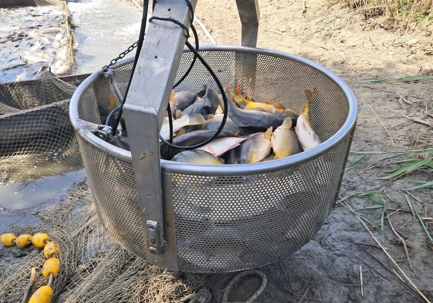 ribnjak