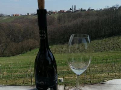 Robert Horvat novi je predsjednik Društva vinogradara i vinara  „Hortus Croatiae“