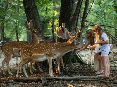 RuralFoto 2025 - TOP 10 fotografija u kategoriji #Životinje