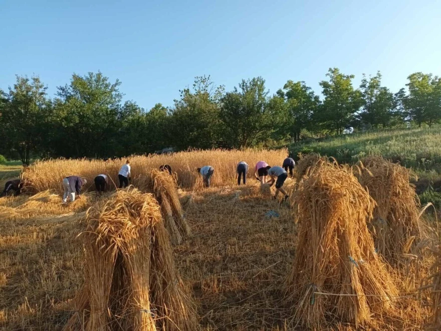 ruralfoto