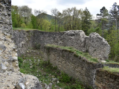 Ružica grad na obroncima Papuka