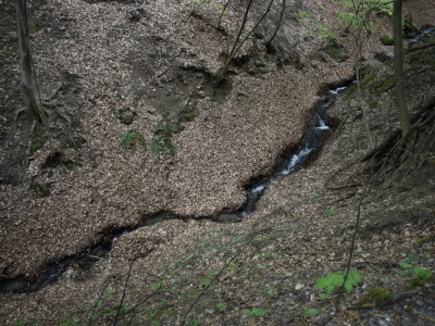 Ružica grad na obroncima Papuka