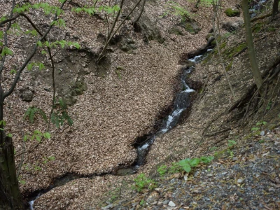 Ružica grad na obroncima Papuka