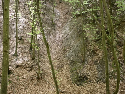 Ružica grad na obroncima Papuka