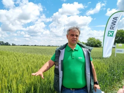 RWA dan polja pšenice Račinovci