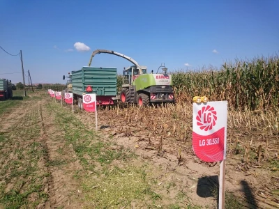RWA hibrid kukuruza LG 30.500