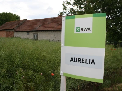 RWA hibridi uljane repice