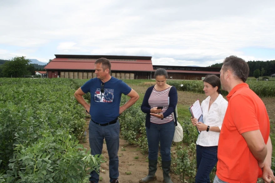 vd