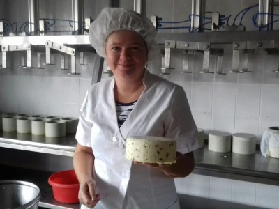 Na godinu proizvodu 26 tisuća sireva