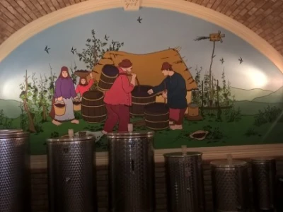U potrazi za najboljim ovogodišnjim OPG-om!