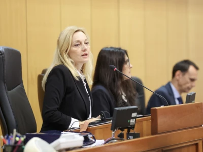 Sabor - međuparlamentarna konferencija o ZPP