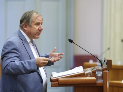 Sabor - međuparlamentarna konferencija o ZPP