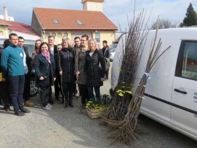 Sačuvajmo stare sorte "Cernik 2019."