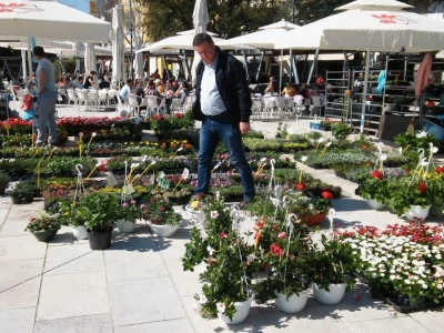 Sajam cvijeća u Crikvenici - ožujak 2019.