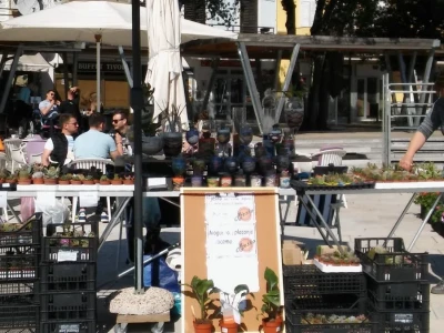 Sajam cvijeća u Crikvenici - ožujak 2019.