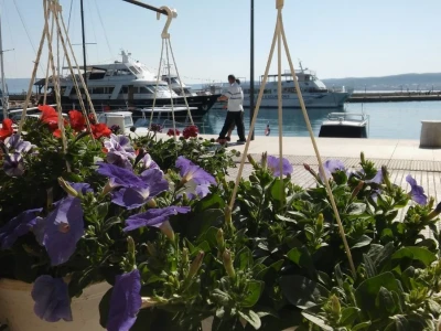 Sajam cvijeća u Crikvenici - ožujak 2019.