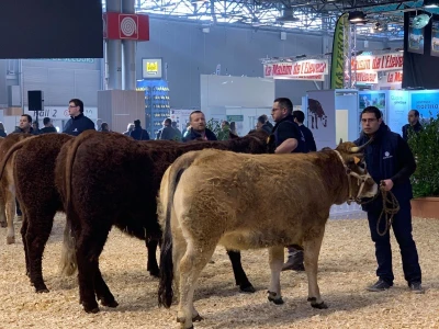 Sajam SIMA sluša priče i snove farmera iz cijele Europe