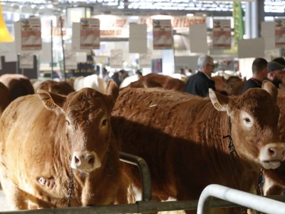 Sajam SIMA sluša priče i snove farmera iz cijele Europe