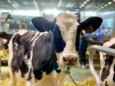 Sajam SIMA sluša priče i snove farmera iz cijele Europe