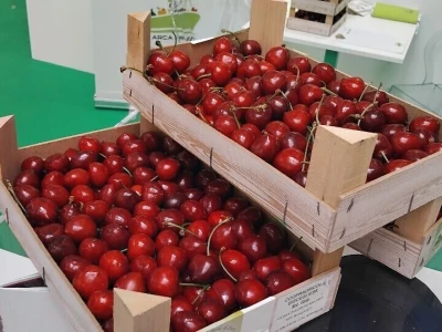 Sajam u Riminiju, Macfrut 2024