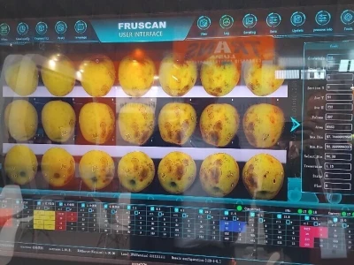 Sajam u Riminiju, Macfrut 2024