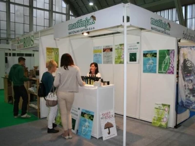 Matičnjak Sativa
