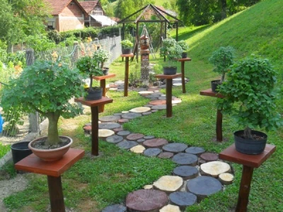 Bonsai na stalcima uz prirodni put