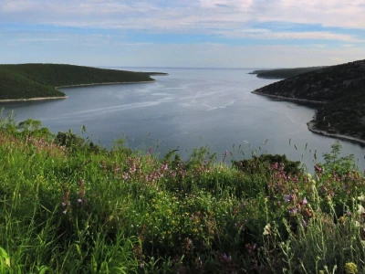 Samonikle priobalne biljke otpornije na klimatske promjene i štetnike
