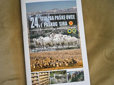Šampionsko zvono 24. izložbe paške ovce i paškog sira odlazi u Kolan