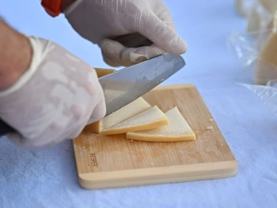 Šampionsko zvono 24. izložbe paške ovce i paškog sira odlazi u Kolan