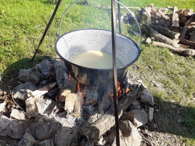 Šarengradska ada