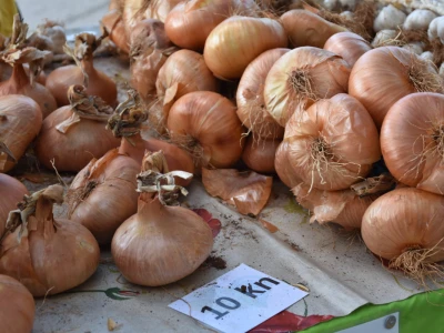 Seljačka tržnica Zadarske županije
