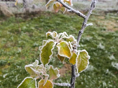 Selo zima