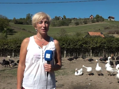 Vesna Mijat