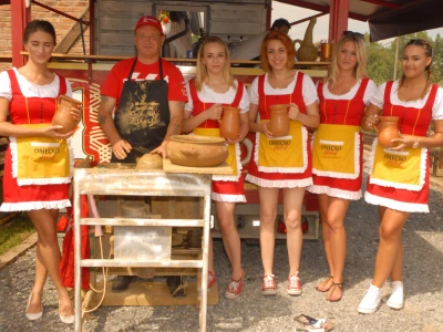 U lijepom društvu