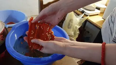 či&scaron;ćenje paprike