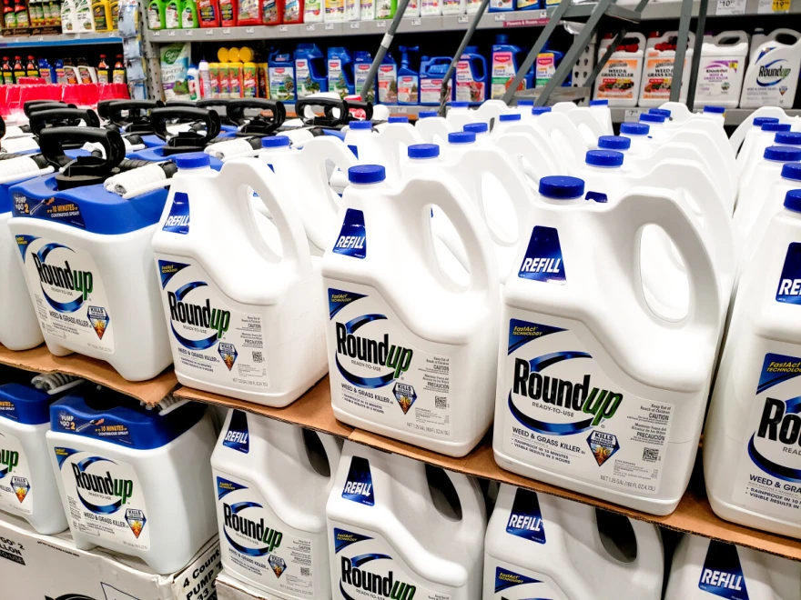 roundup monsanto