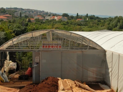 Siniša Miličić