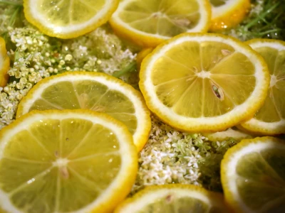 Sirup od bazge