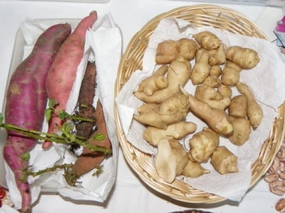 Sjeme čičoke i batata